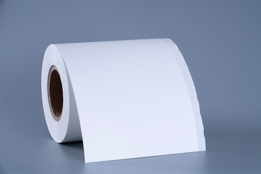 Etiket voor bevroren voedsel